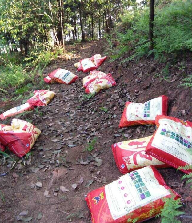 石城山工区施底肥，，，，，，，苗木修剪及栽植.png